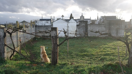  ceminterio parroquial