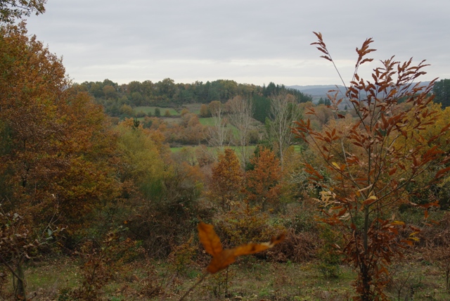 vista do castro dende o Souto Grande