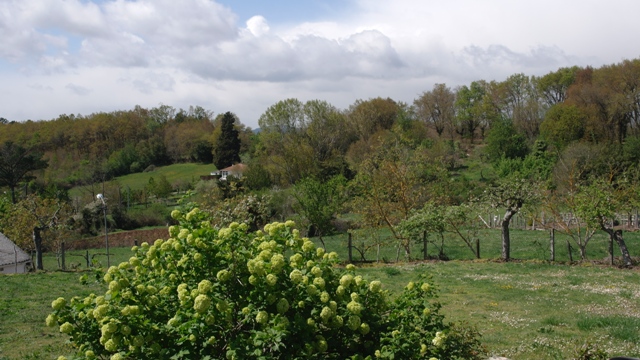 vista dende a horta da Elvira