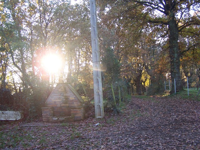 carballos da Fonte da Vila de PIÑO e Fonte