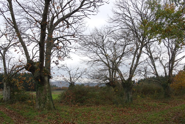 Souto do Sono en Lagozo