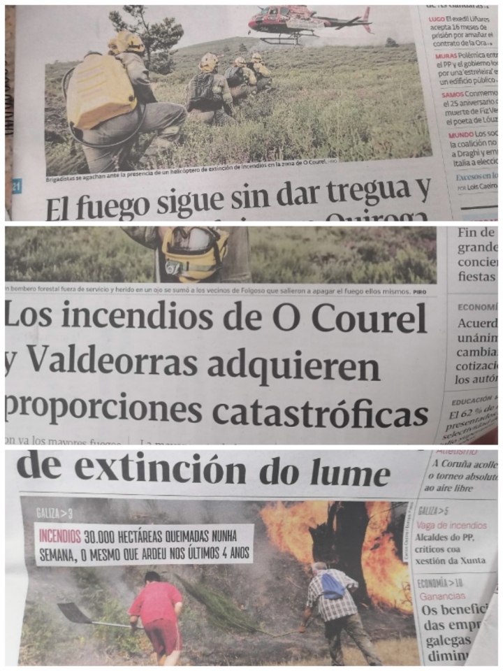 Titulares do Lume eco dos lumes