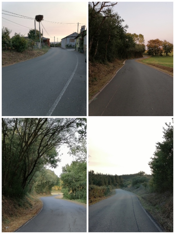 Desbroce das cunetas estrada desbrozada