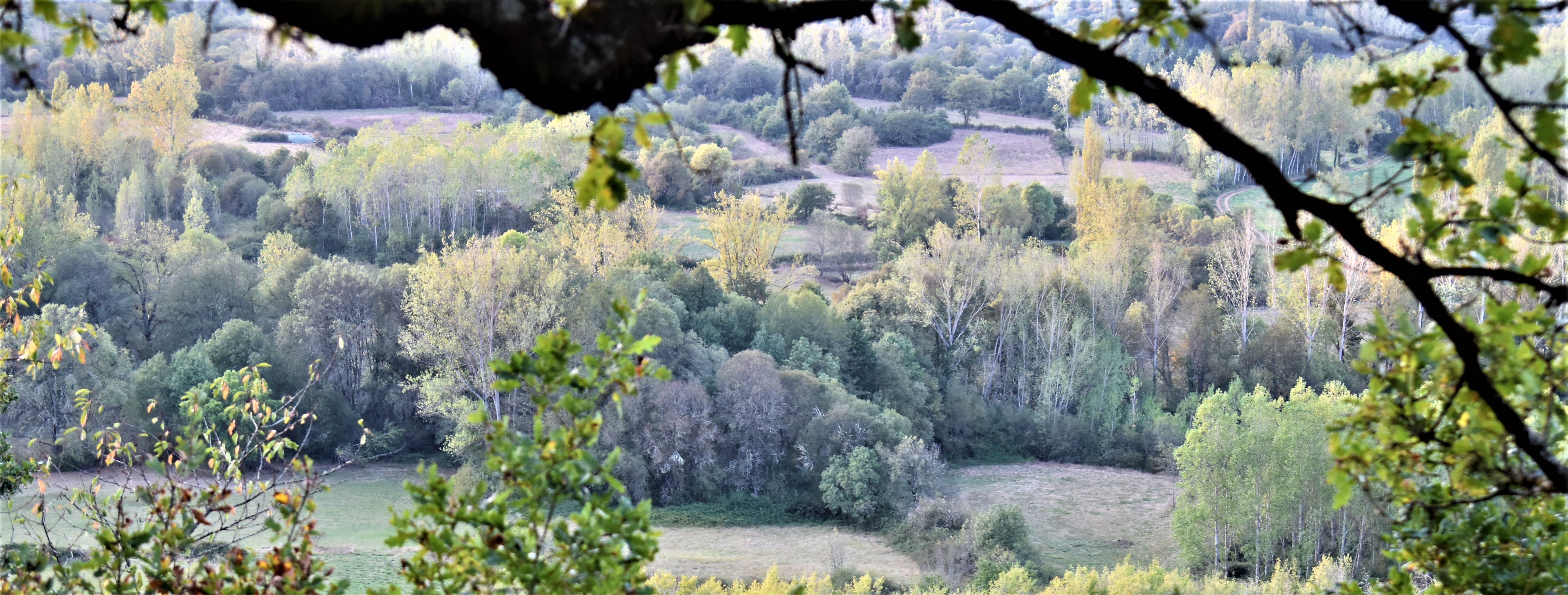 VISTA DA VEIGA DENDE A RIBA