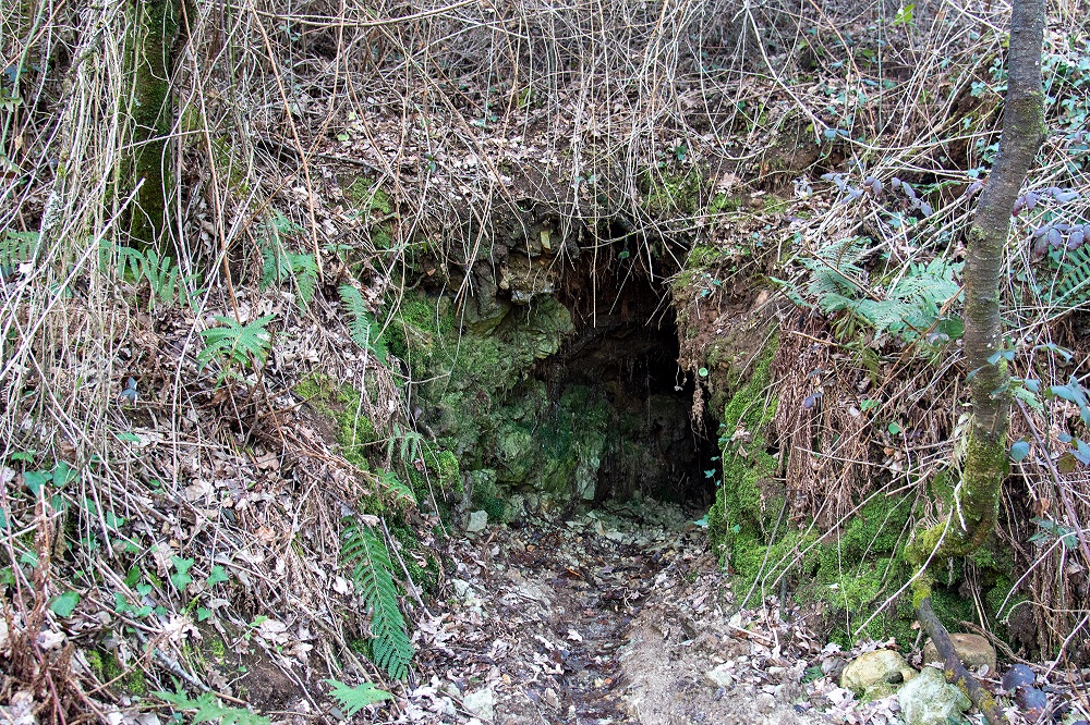 minas das Pincheitas
