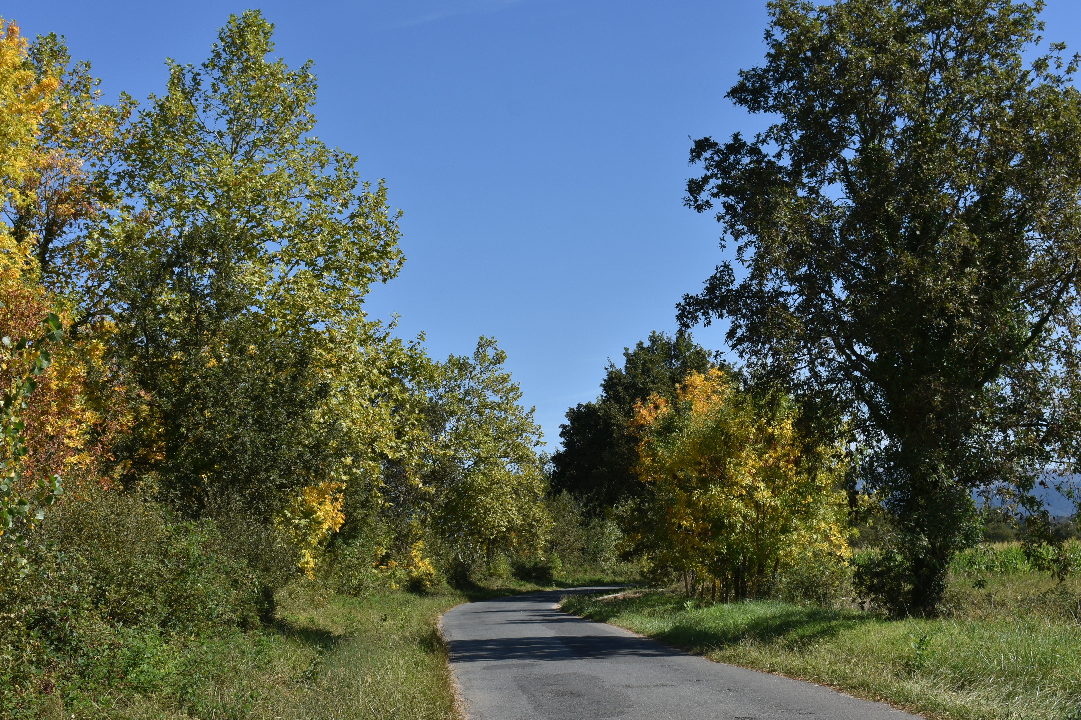 paisaxe Ribas PEQUENAS