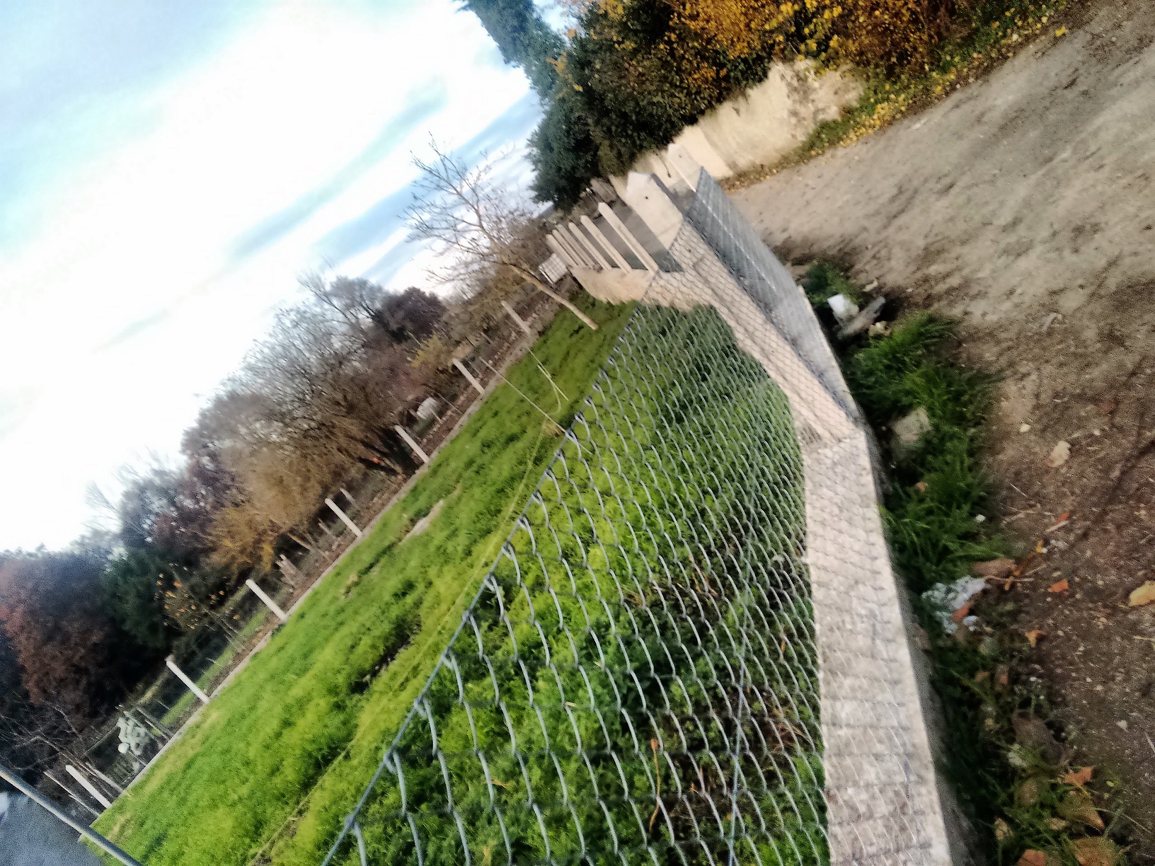 muro discordia