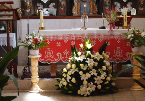 flores