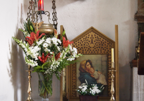 flores